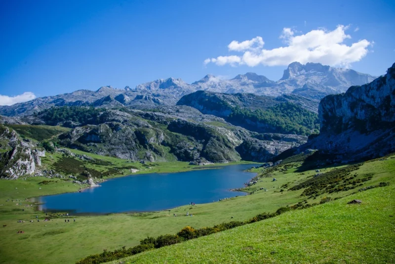 Paisaje de los Picos de Europa