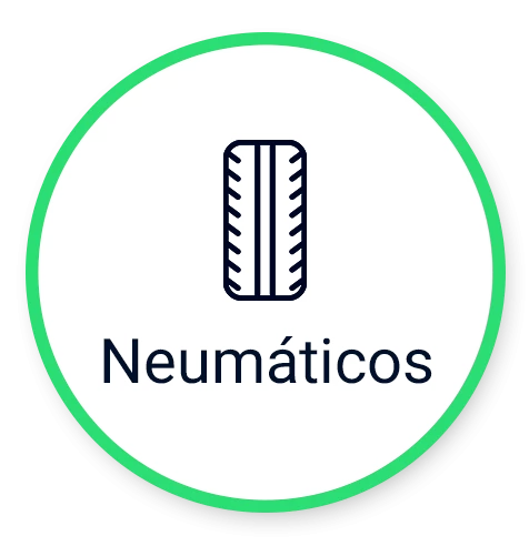 Neumáticos
