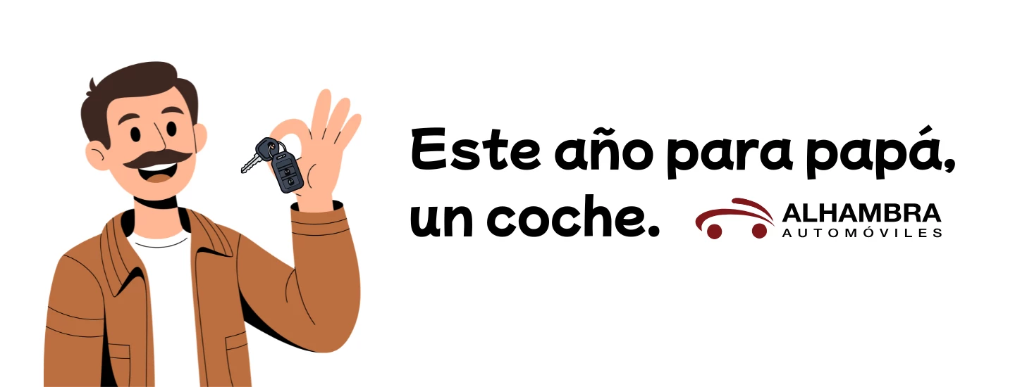 Vehiculos de ocasion