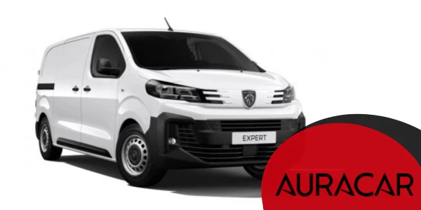 furgoneta peugeot blanca en venta