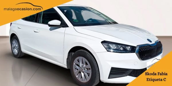 Skoda Fabia de color blanco en ocasión