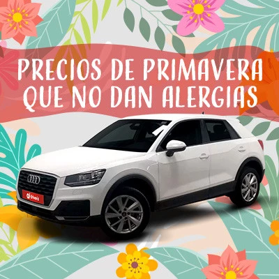 Precios de primavera que no dan alergias 