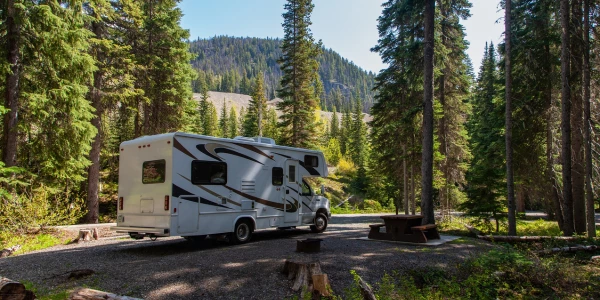 Autocaravana en un bosque