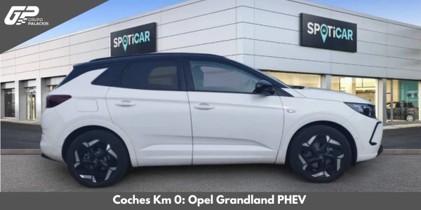 Coches pel de km 0