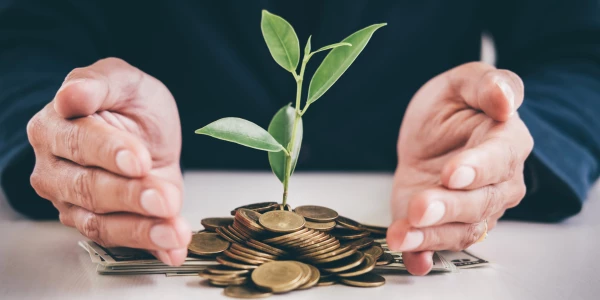 Monedas y una planta entra las manos de un señor