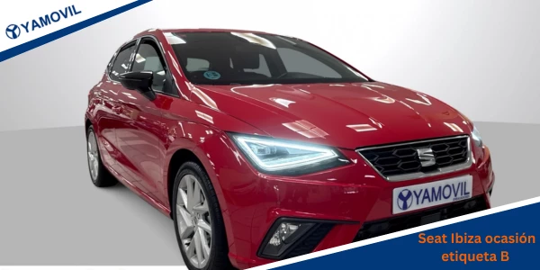 Coche Seat Ibiza de ocasión con etiqueta B